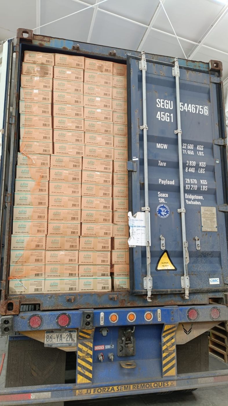 Contenedor de importación lleno de cajas listo para descargar