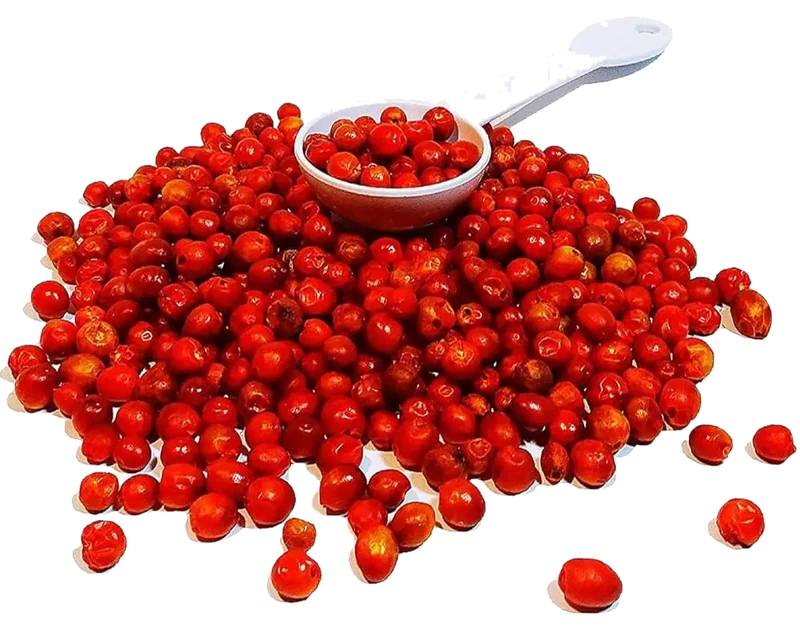 Chile chiltepín y limón en polvo Chiltepín seco